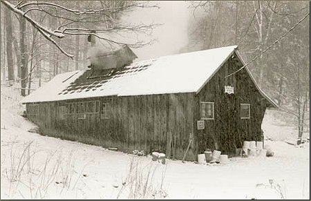 sap house in winter