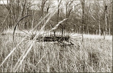 cloistered hay rake