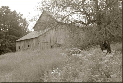 pastoral